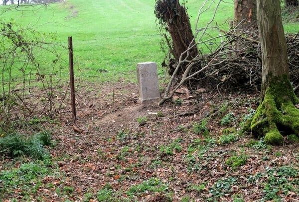 Borne de pierre isolée marquant une limite dans un sous-bois